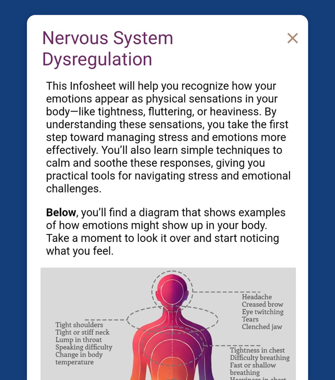 nervous system regulation infosheet featured image